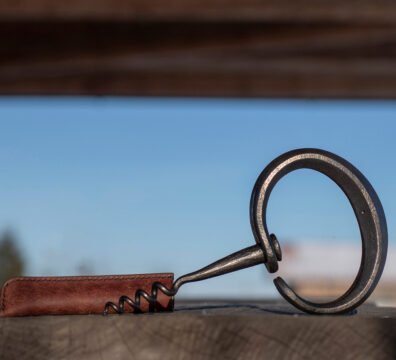 Vyno atidarytuvas su odine įmaute